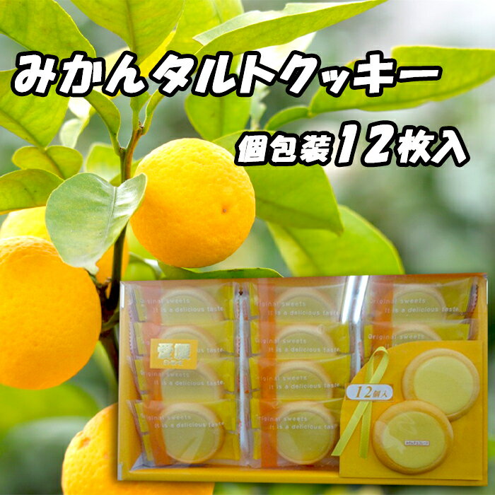 愛媛県のおすすめお取り寄せスイーツ・銘菓TOP3【楽天市場で買える人気菓子】