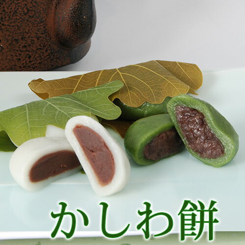 端午の節句 柏もち 和菓子