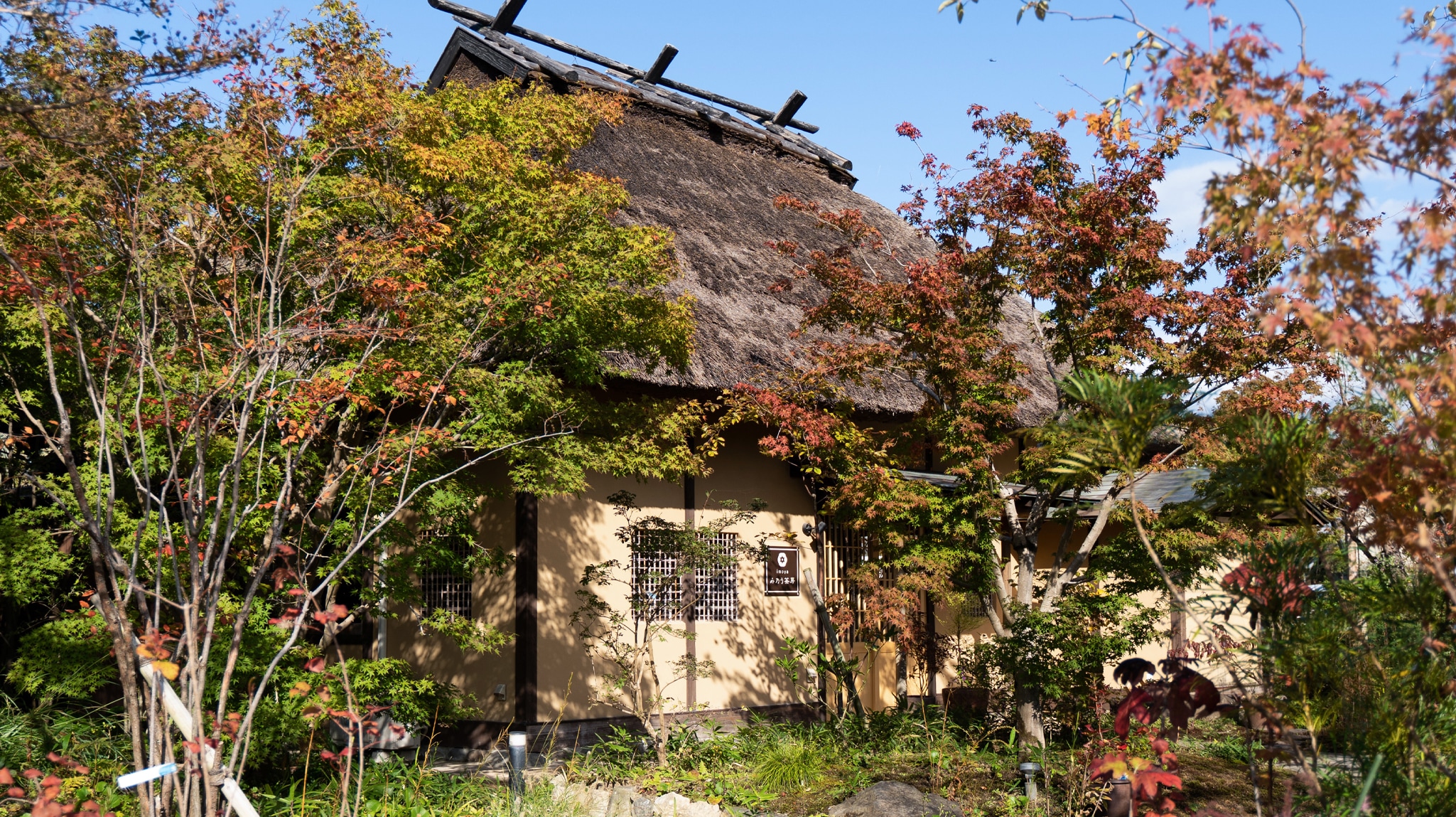 紅茶房の九州産紅はるか焼き芋