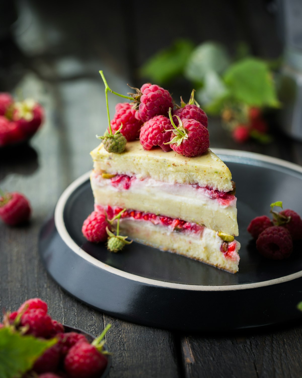 チーズケーキ 歴史 イタリア 本格