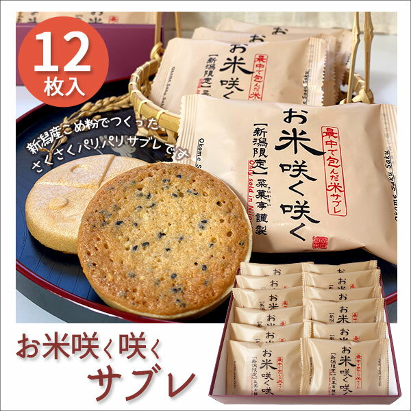 新潟米を使った餅菓子・おこし・煎餅