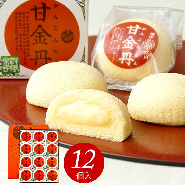甘金丹