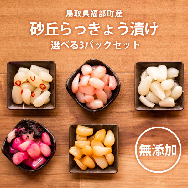 砂丘らっきょう漬け菓子・鳥取の郷土菓子